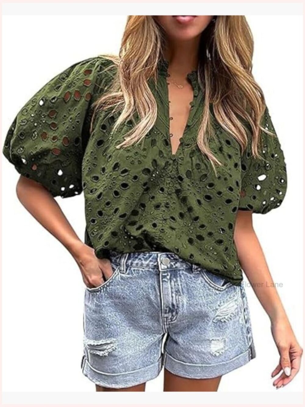 V Neck Lantern Sleeve Hollow Out Embroidered Lace Blouse Button Front Top